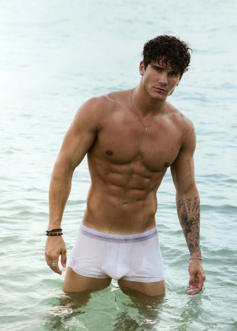 Swann